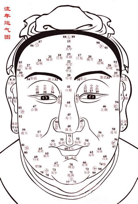 面相圖|面相(面部流年)